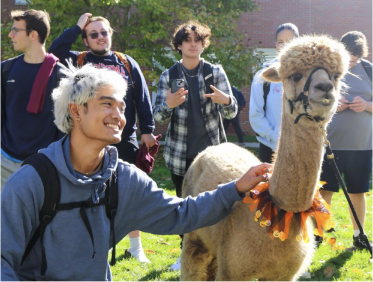 student petting llama